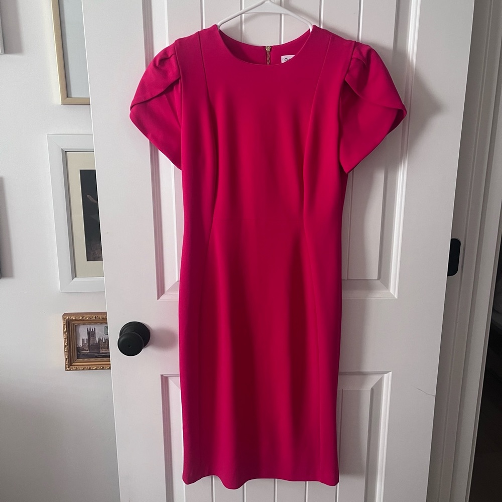 Tulip-Sleeve Sheath Dress